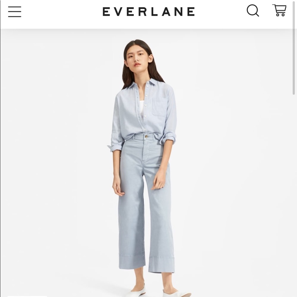 Everlane The Lightweight Wide Leg Chino Pale Blue